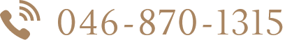 046-870-1315